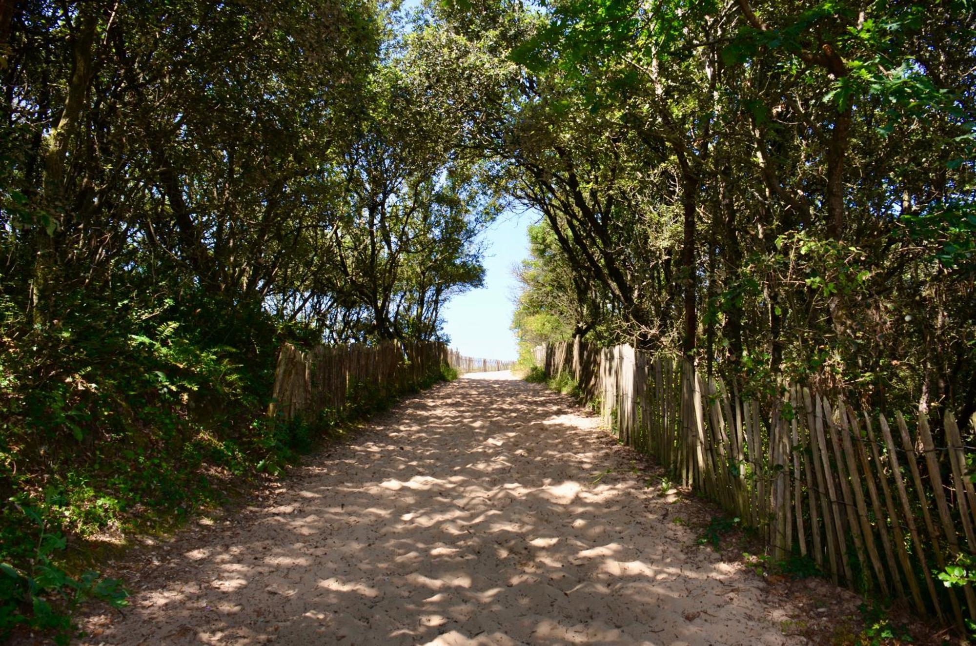 Camping Le Clos Des Pins Лонгвил-сюр-Мер Екстериор снимка